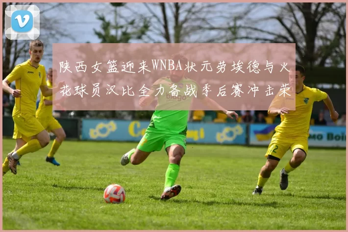 陕西女篮迎来WNBA状元劳埃德与火花球员汉比全力备战季后赛冲击荣耀