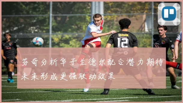 芬奇分析华子兰德尔配合潜力期待未来形成更强联动效果